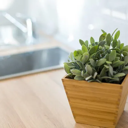 Cosy Studio Apartman